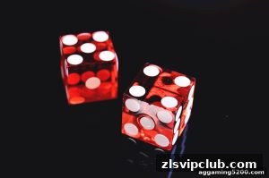 AG真人 zlsvipclub